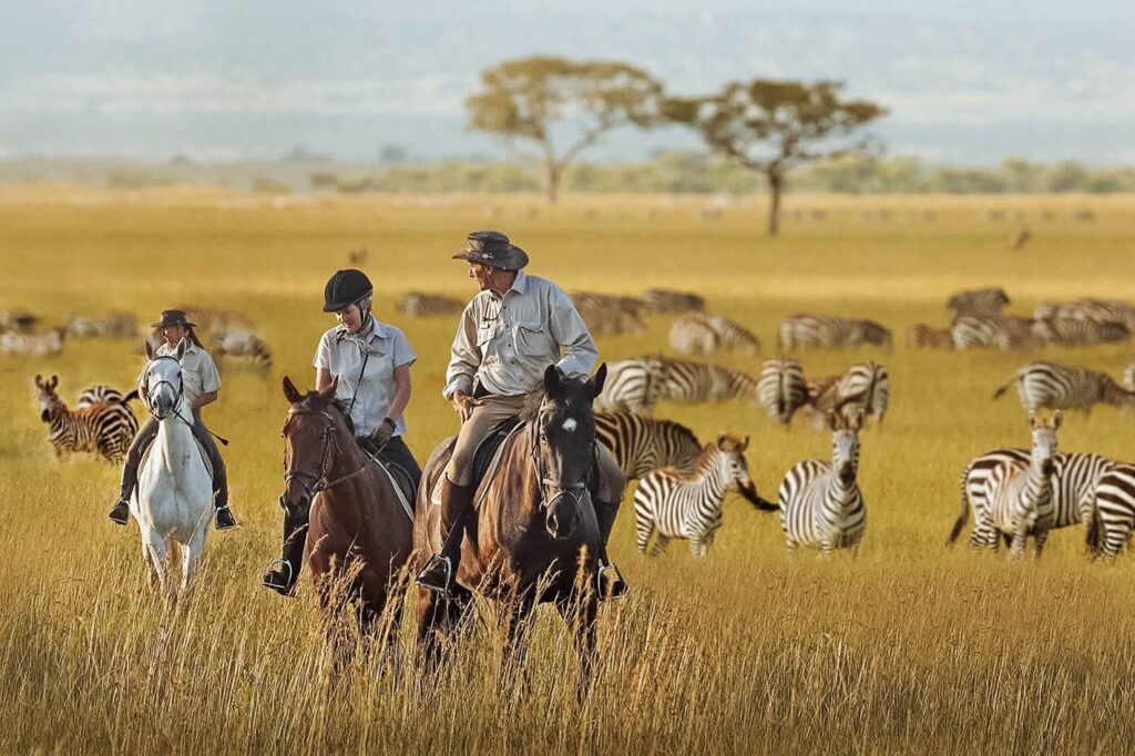 "Jinete en safari a caballo en África junto a la fauna salvaje"