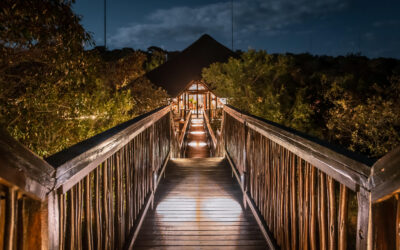 Laluka Safari Lodge: Un Refugio de Lujo en el Corazón de Sudáfrica