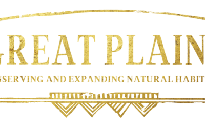 Great Plains Conservation: Una Experiencia de Safari Única en África